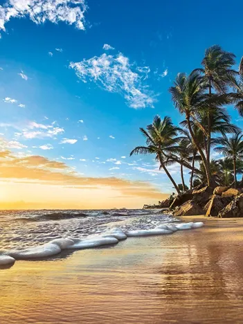 Produit Soleil Couchant sur une Plage des Tropiques Image