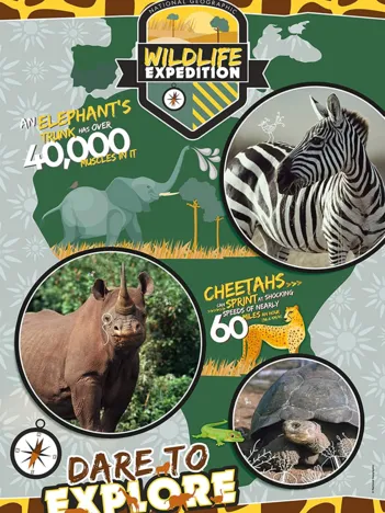 Produit National Geo Kids - Wildlife Expedition Image
