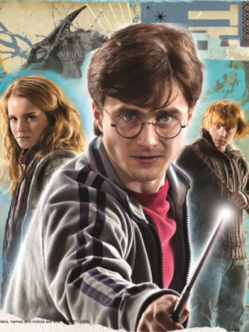 Produit Harry Potter Image