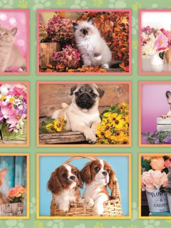 Produit Collage de Chiots Image