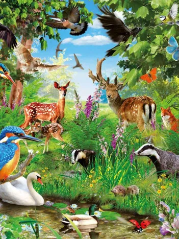 Produit Forest Image