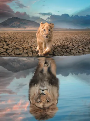 Produit Reflet de Soi Image