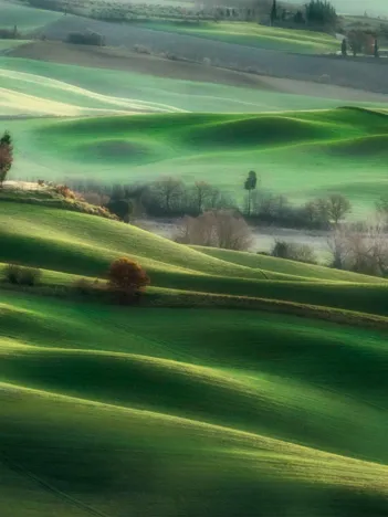 Produit Tuscany Hills Image