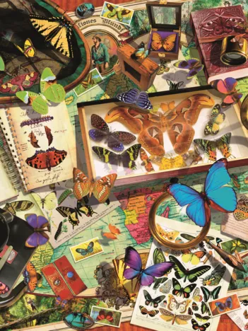 Produit Collectionneur De Papillons Image