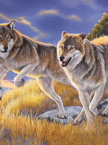 Produit Agnew: Les Loups Image