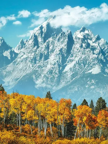 Produit Grand Teton National Park Image