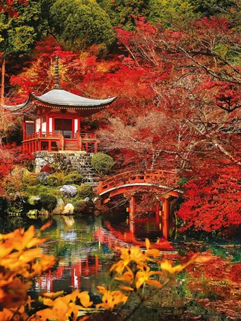 Produit Rêve Asiatique Image