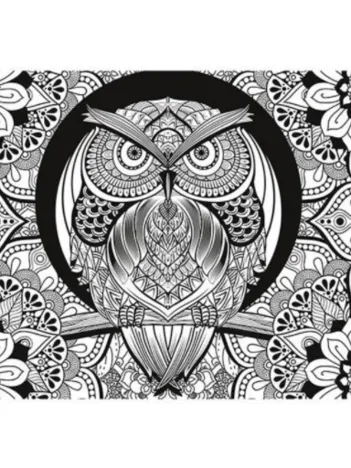 Produit 3D Colour Therapy Puzzle - Hibou Image