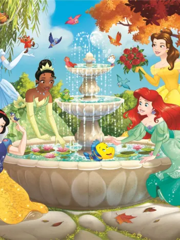 Produit Disney Princesses Image