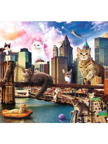 Produit Kittens in New York Image