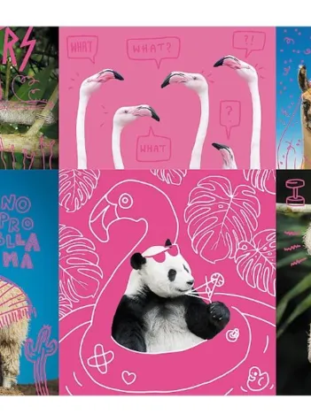 Produit Neon Color Line - Crazy Pets Image