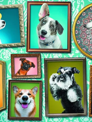 Produit Doggies Gallery Image