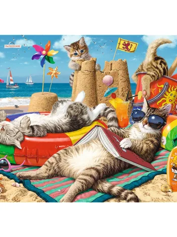 Produit Hidden Shapes - Vacances Félines Image