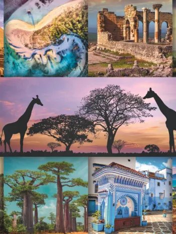 Produit Afrique Image