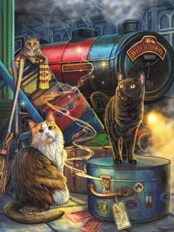 Produit Collection Magique : Bois De Sorceau Express Image