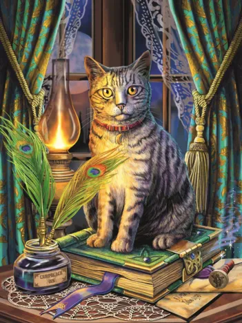 Produit Collection Magic : Livre Des Ombres Image