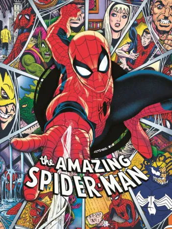 Produit Spider-Man Image