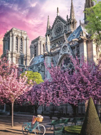 Produit Photo Odyssée : Cathédrale Notre-Dame De Paris Image