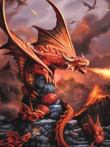 Produit Collection Fantasy : Dragon de Feu Image