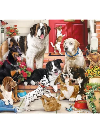 Produit Hidden Shapes - Doggy Fun Image