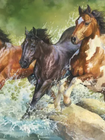 Produit Three Wild Horses Image