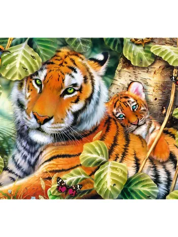 Produit Deux Tigres Image