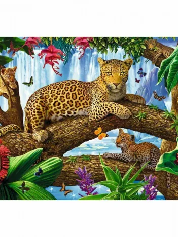 Produit Repos dans la Forêt Image