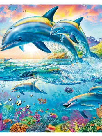 Produit Famille de Dauphins Image