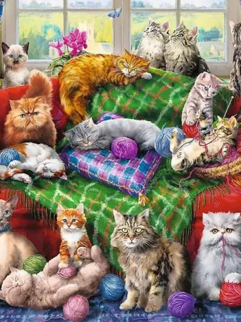 Produit Chats sur le Sofa Image