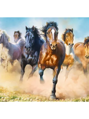 Produit Chevaux au Galop Image