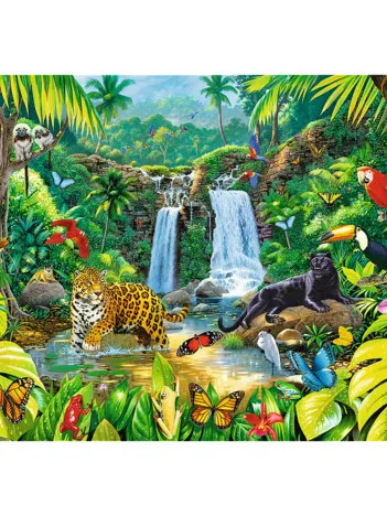 Produit Forêt Tropicale Image