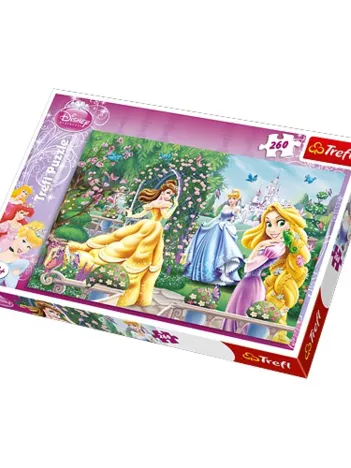 Produit Le jardin des princesses Disney Image