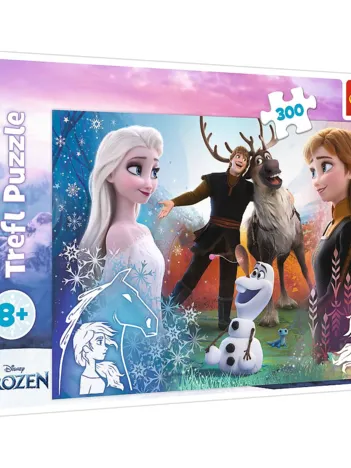 Produit La Reine des Neiges Image