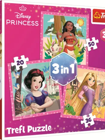 Produit 3 Puzzles - Princesses Disney Image