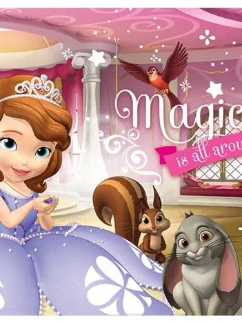 Produit 2 Puzzles Lumi Color - Princesse Sofia Image