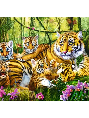 Produit Famille de Tigres Image