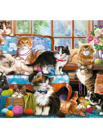 Produit Famille Chat Image
