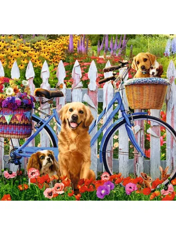 Produit Aventure de Chiots Image