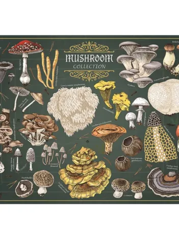 Produit Finders Keepers - Collection de Champignons Image