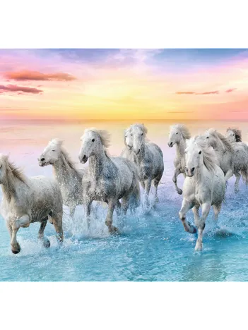 Produit Galloping White Horses Image