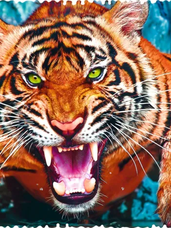 Produit Crazy Shapes - Facing a tiger Image