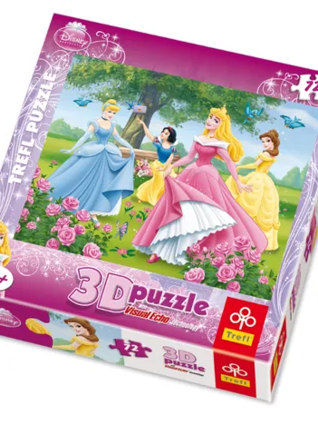 Produit Effet 3D : Les Princesses Disney Image
