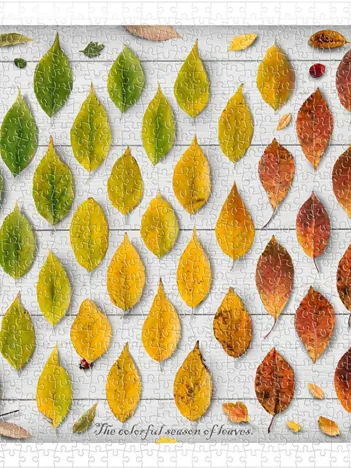 Produit Puzzle en Plastique - The Colorful Season of Leaves Image