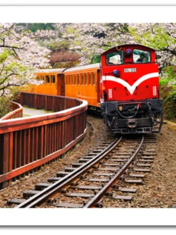 Produit Puzzle en Plastique - Forest Train in Alishan National Park, Taiwan Image